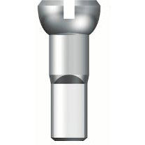 Sapim Speichennippel 12 (500 Stück)