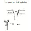 Sapim Spoke Trade Nippelspeiche-13 Felge-14 Silber. (500 Stück)