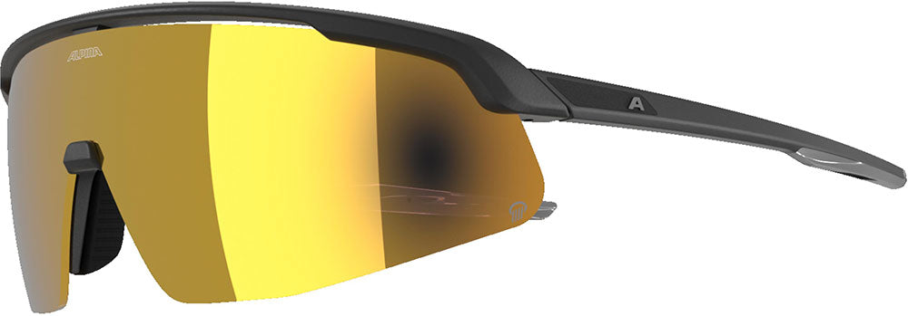 Alpina turbo pro q - sports glasses