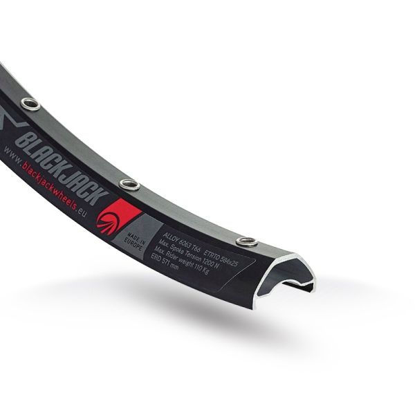 Laufradsatz 29" Rodi Ready 25 Disc - 15x100 + 12x142 mm Steckachse - 10-11-fach - 32-fach