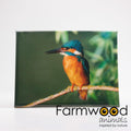 Farmwood animals buitenschilderij ijsvogel 30x40cm