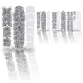Unleazhed frame protection film monstera white glossy