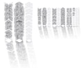 Unleazhed unscratch - frame protection film monstera white matt