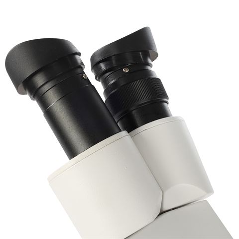 Byomic Stereomikroskop BYO-ST3