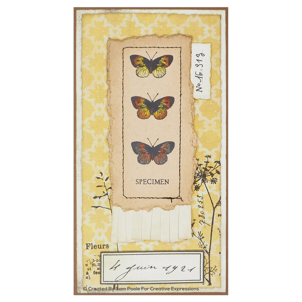 Creative expressions • clear stamp set dateert uit het verleden