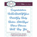 Creative expressions • sentiments craft die new baby