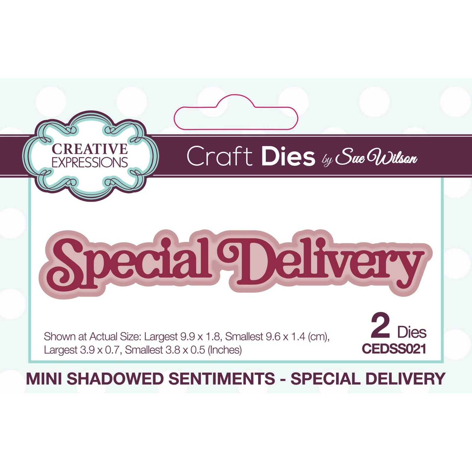 Creative expressions • snijmal mini shadowed sentiments special delivery