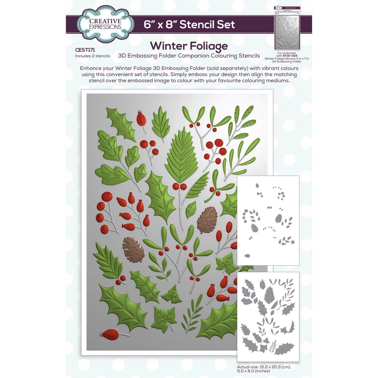 Creative expressions • winter foliage companion colouring stencil 6 in x 8 in set of 2