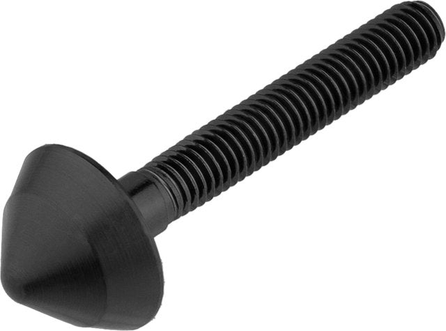Pitlock spare axle for seatpost protection