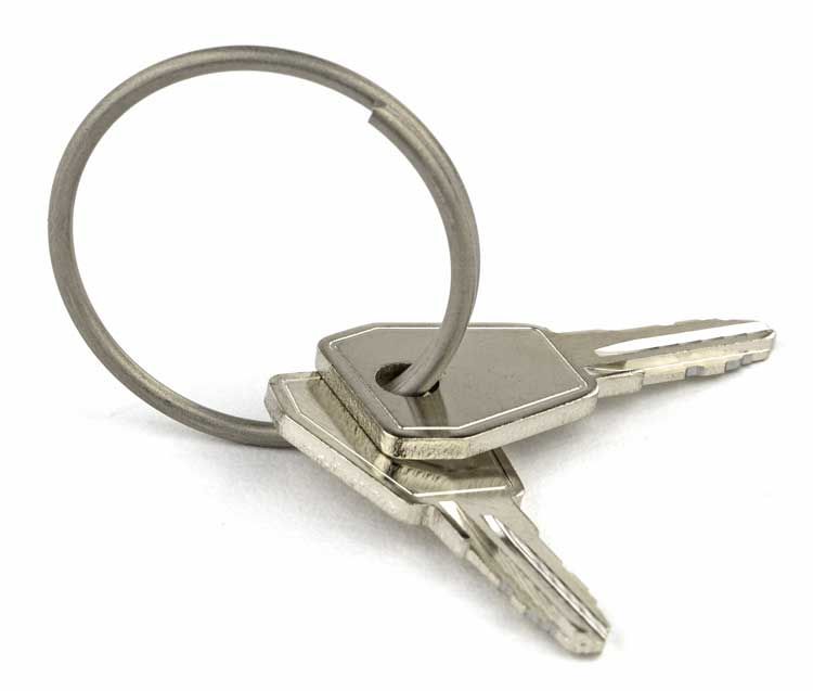 Thule Key yepp nexxt