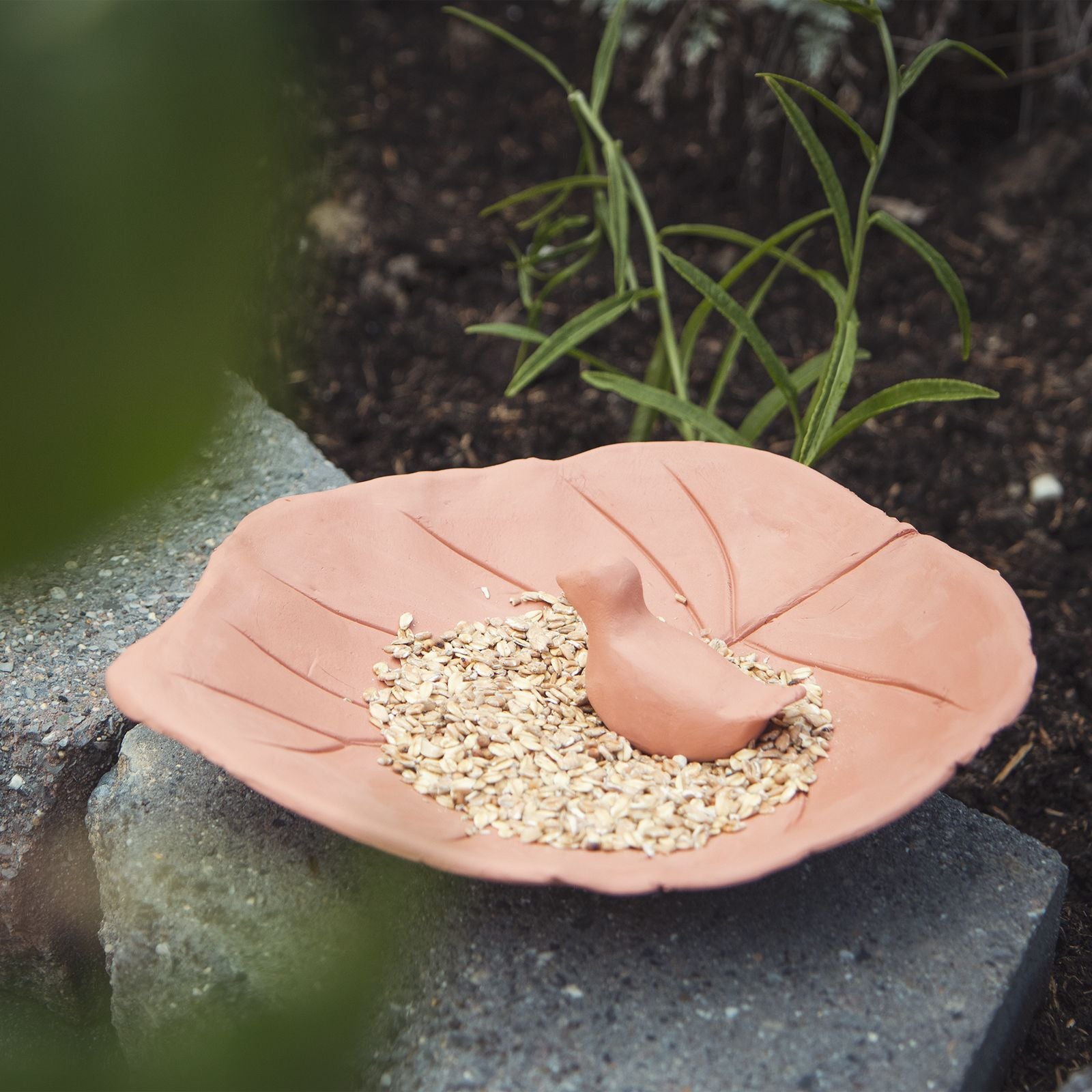Merkloos darwi • modelling klei terracotta 1kg