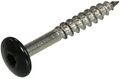 Dak gevel dak gevel kleurkopschroef rvs-a2 zwart ral9005 4.8x25 | 50 stuks - 6304.30.37123