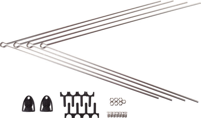 Sks stay set for chromoplastics