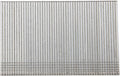 Dewalt accessoires brads 1.6-64 gegalvaniseerd 2.5m - dnbsb1664z