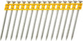 Dewalt accessoires dcn8901040 nagels verzinkt 40x2.6mm voor dcn890 betontacker 1005 stuks - dcn8901040