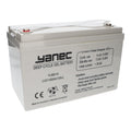 Yanec -Gel-Batterie 12V 100Ah