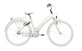 Hulzebos cycle parts b.v. bfk 24 lots of love 3v desert sage mat - 24lot65