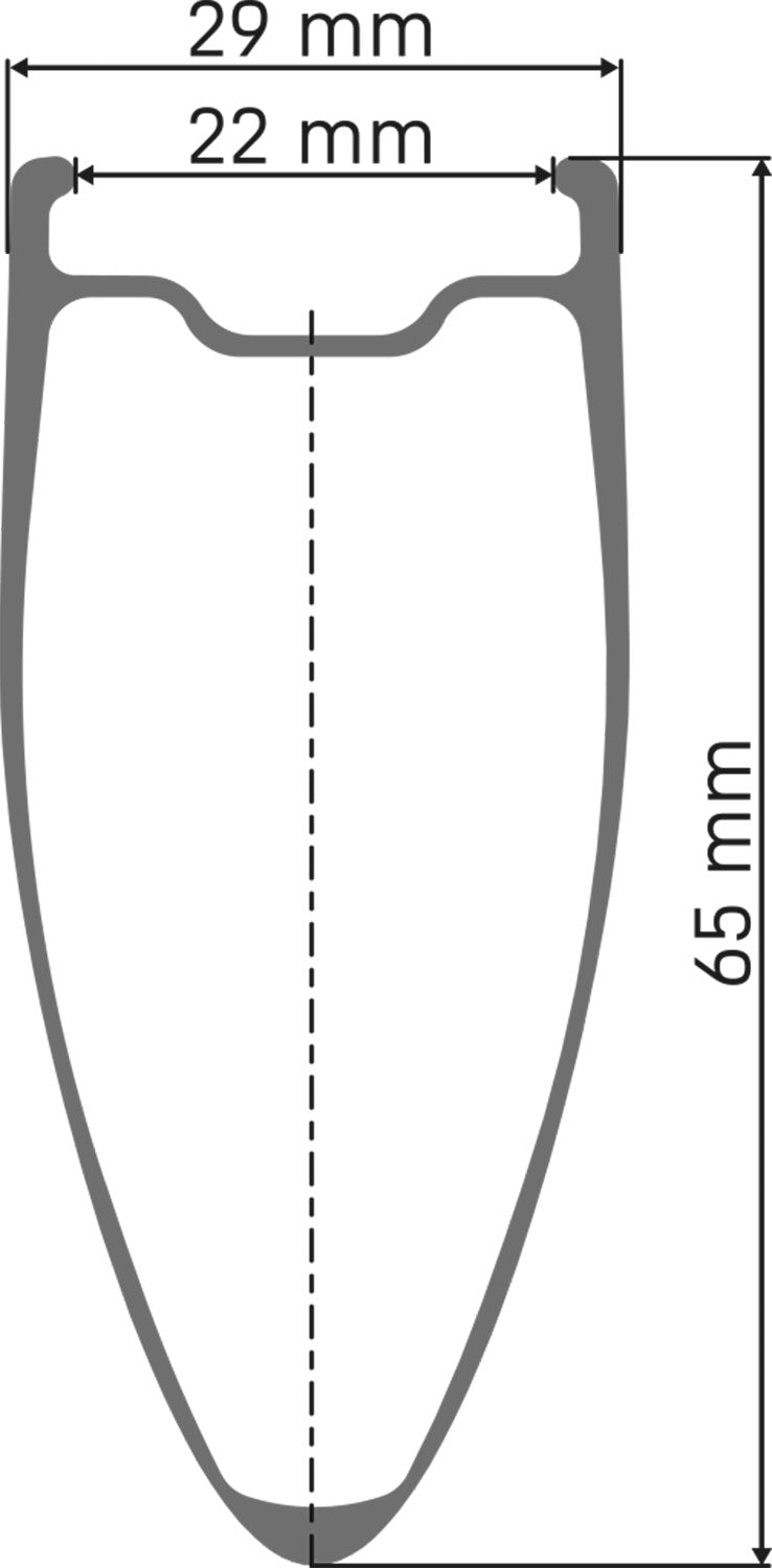 Dt swiss arc 1400 dicut® 65 28 disc cl shimano hg carbon rear wheel