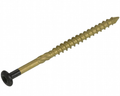 Dynaplus gevelschroef ar-bronze cilinderkop deeldraad zwarte kop torx tx15 4.0x40 22 | 2000 stuks - 0289.12.25605