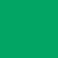 Falcon Eyes Achtergrondpapier 46 Chroma Green 0,57 x 11 m