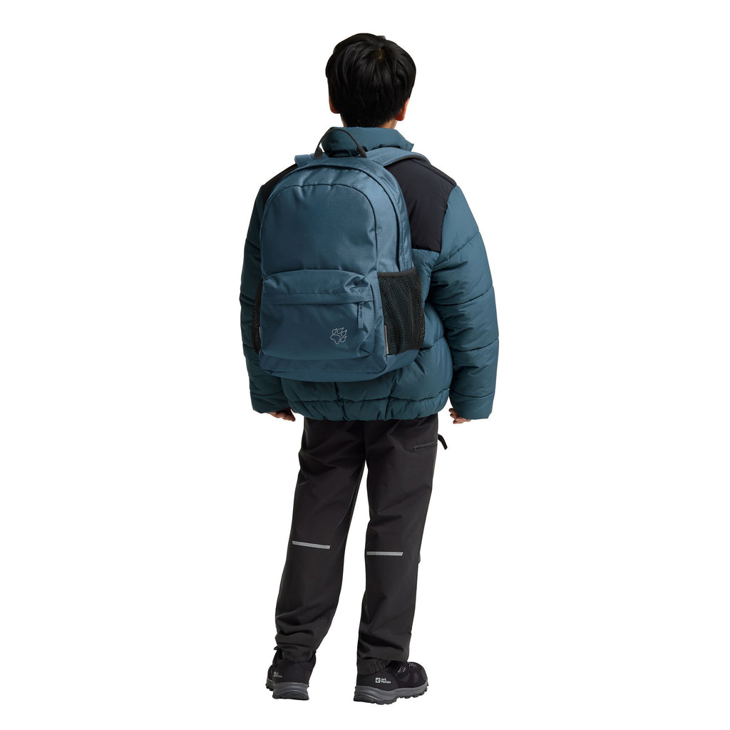 Jack wolfskin rebel pack 25 rugzak (blauw)