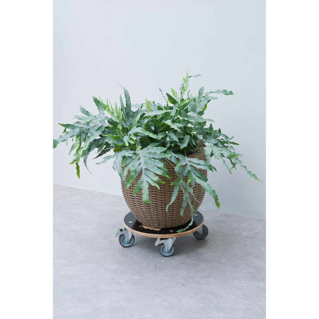 Nature Plant Wagon Rindfleisch