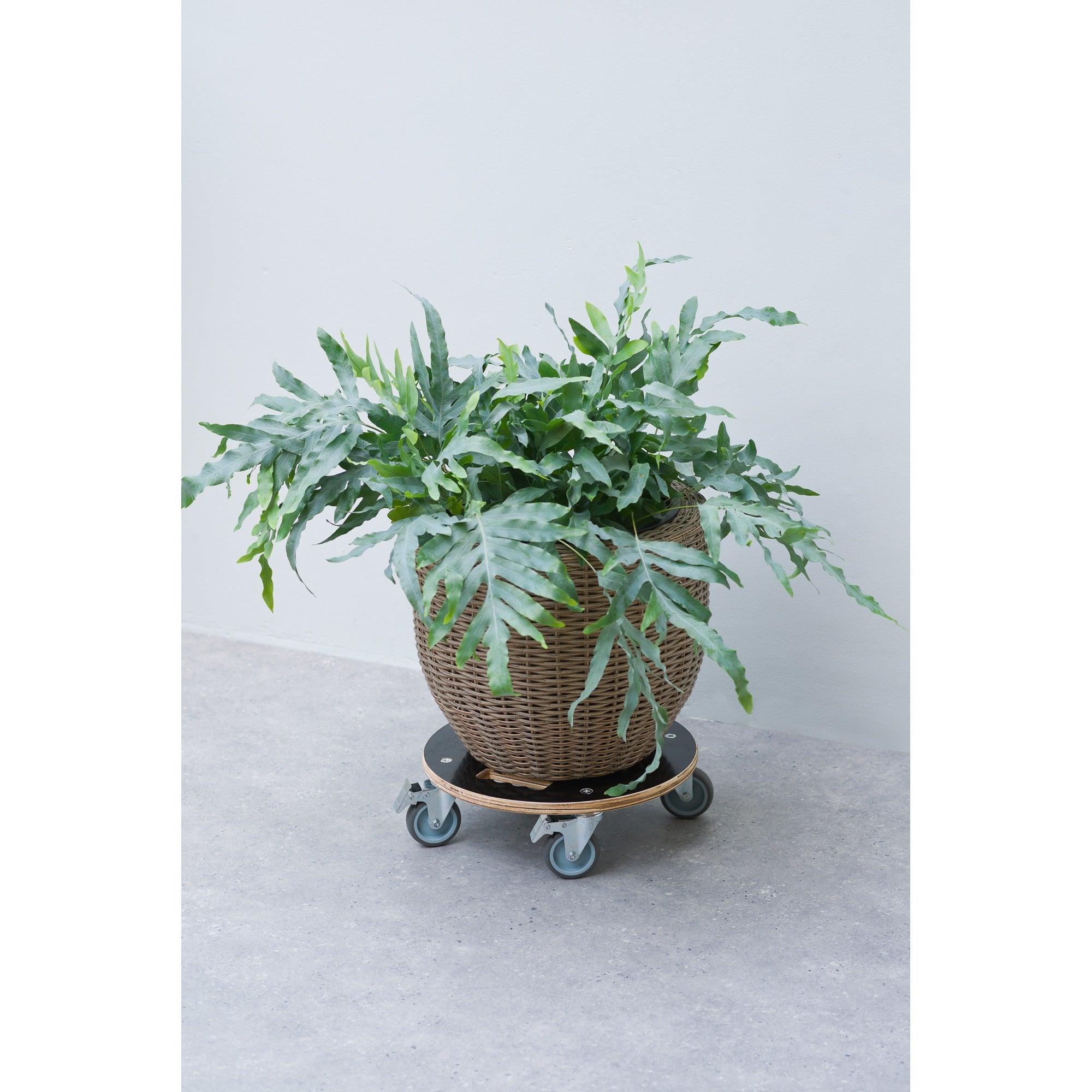 Nature Plant Wagon Rindfleisch