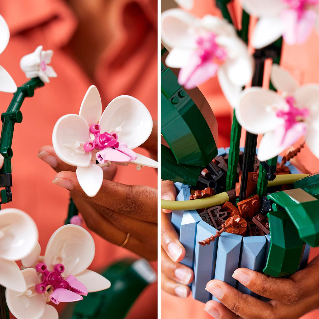 LEGO Icons 10311 Orchidee