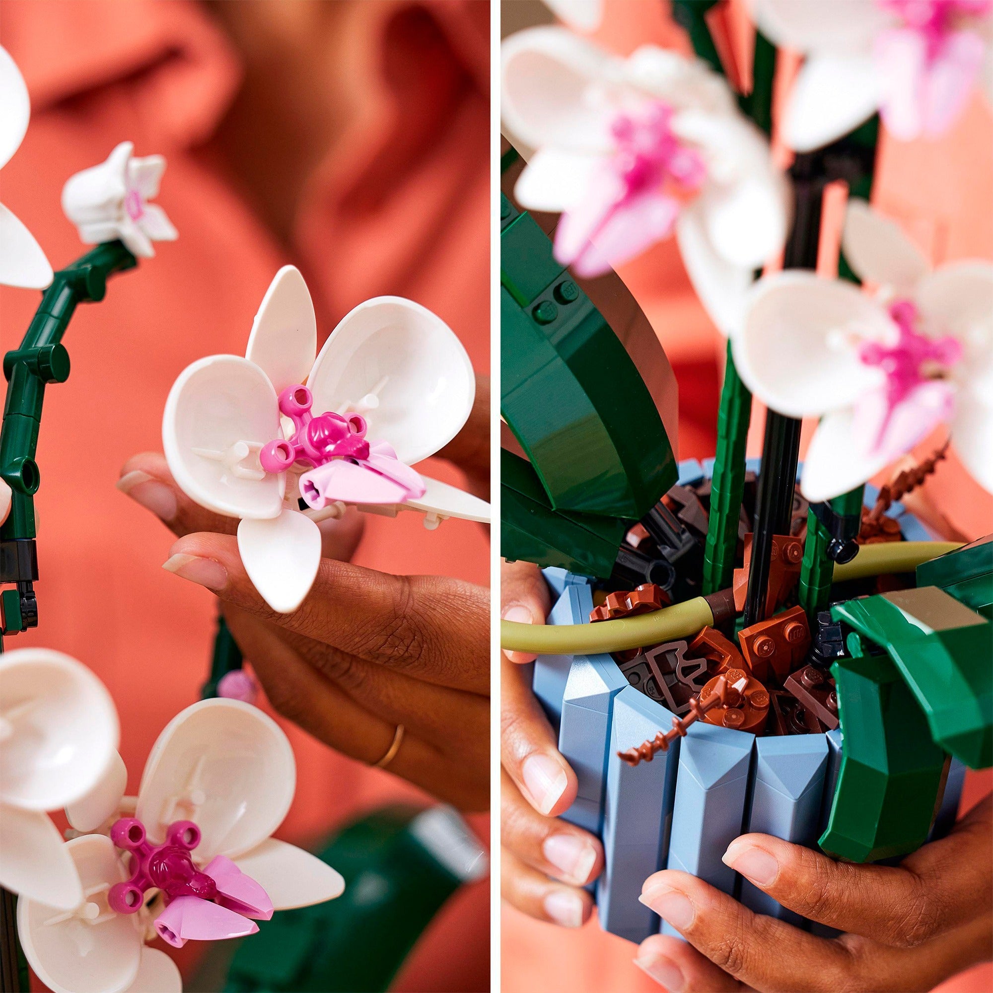 LEGO Icons 10311 Orchidee