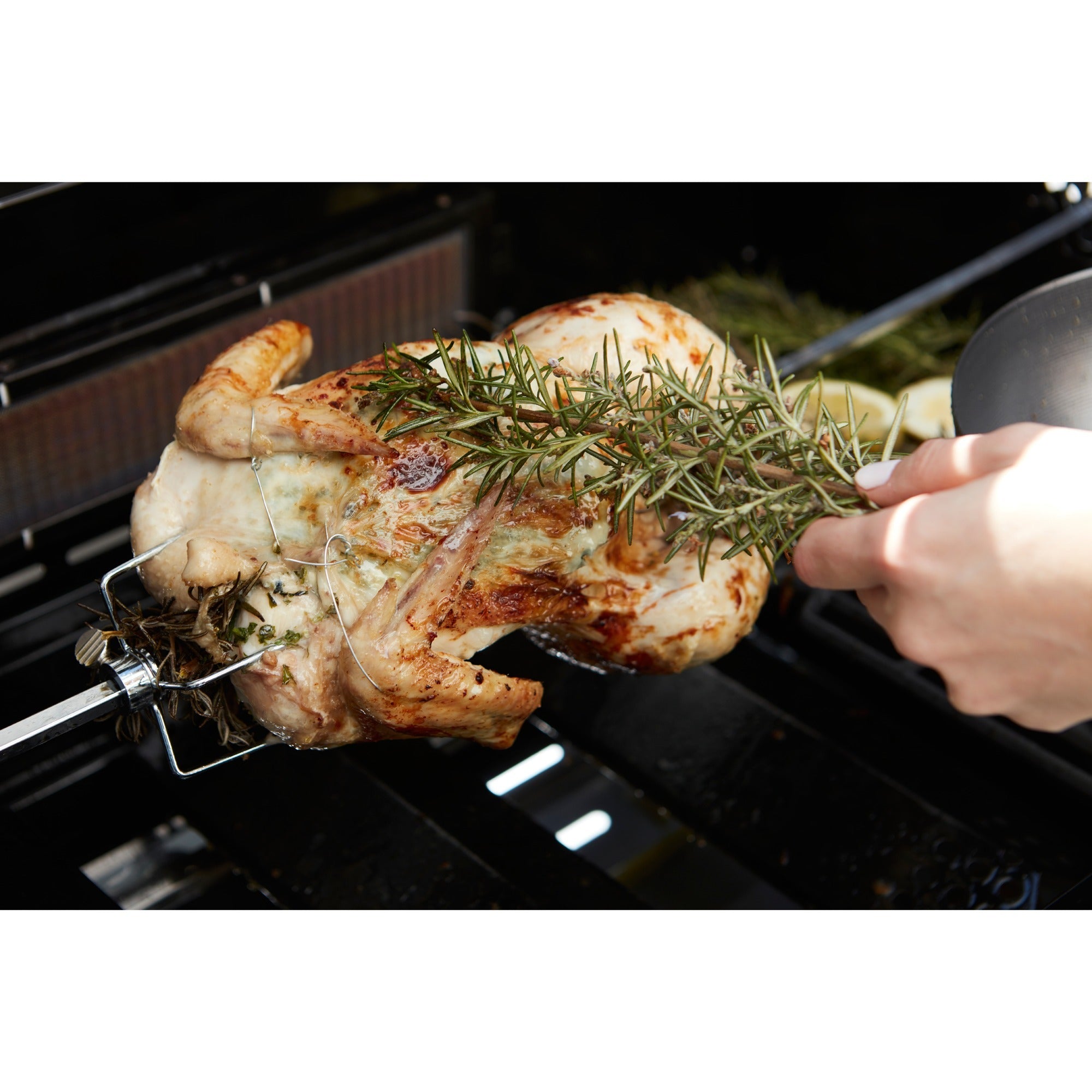Barbecook universeel draaispit met motor voor magnus en siesta rotisserie