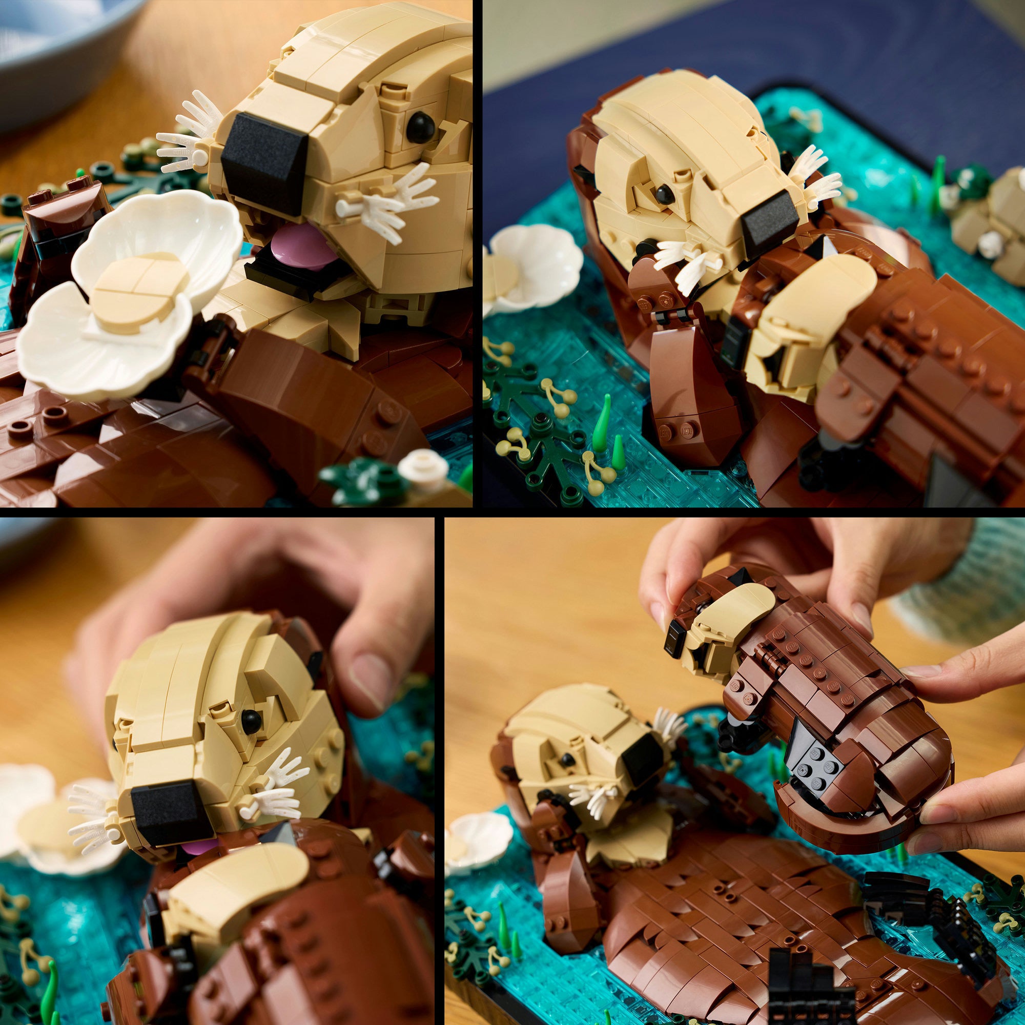 LEGO Ideas 21366 schwimmender Seeotter