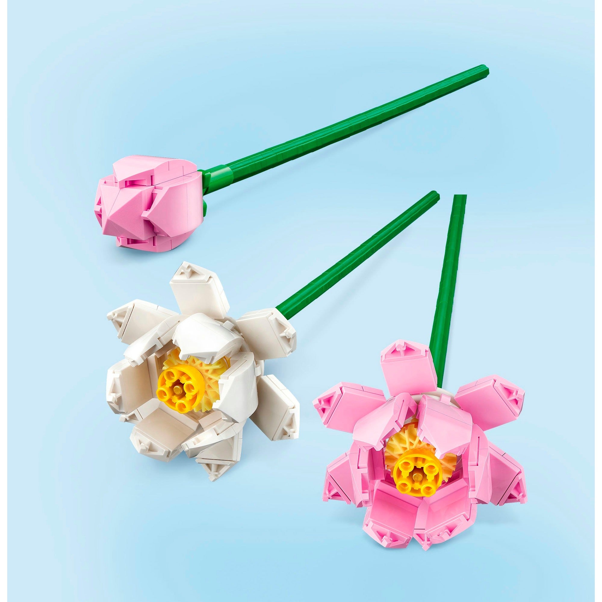 LEGO Botanische Kollektion - Lotusblumen Konstruktionsspielzeug (40647)