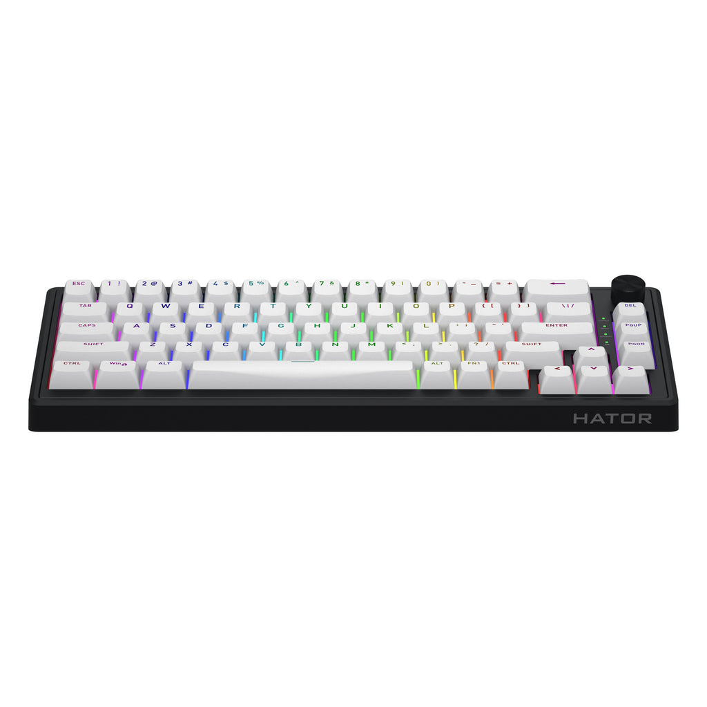 Hator skyfall wireless rgb mechanisch gaming toetsenbord (zwart, us lay-out (qwerty), hator aurum sterling, 65%, rgb, double shot abs, hot-swap, 2.4ghz | bluetooth | usb-c)