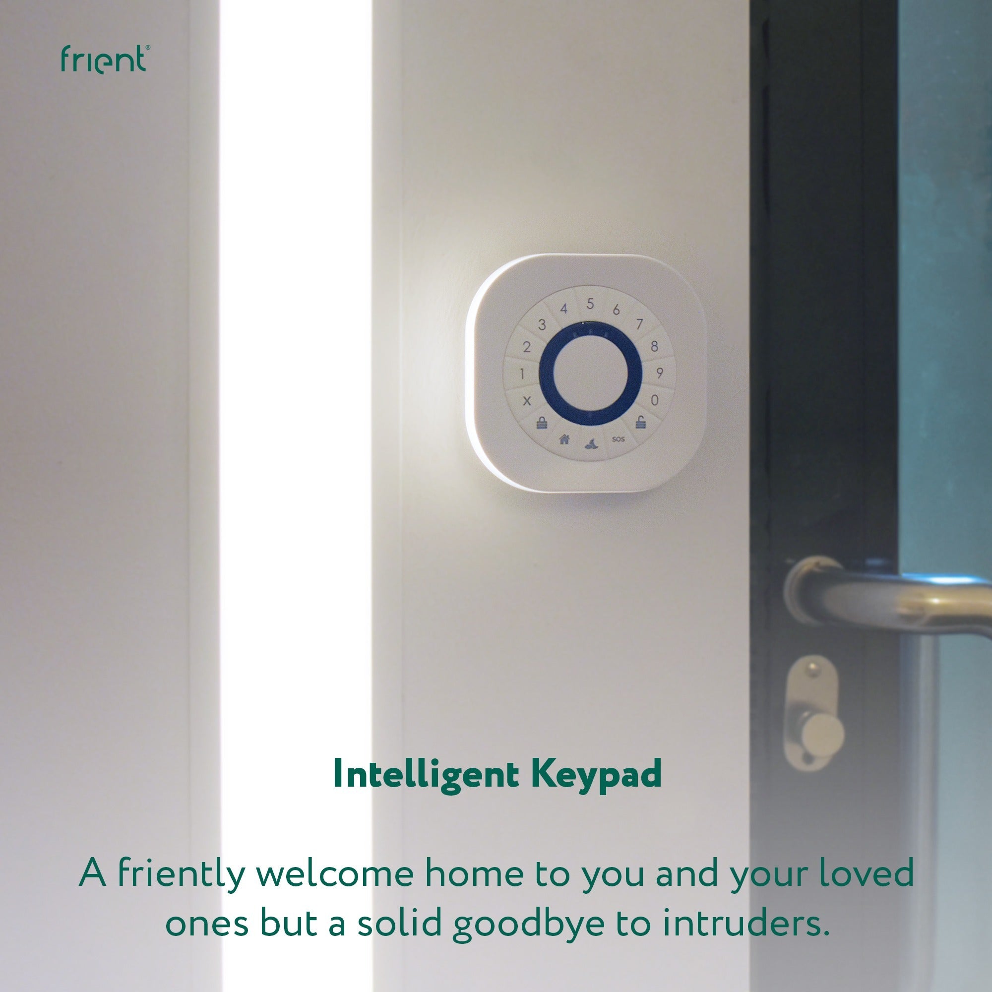 Frient intelligent keypad (wit, zigbee 3.0)