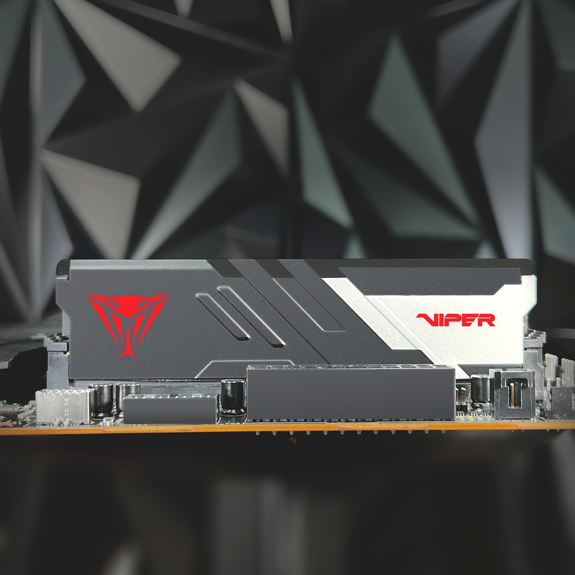 Patriot viper venom 32 gb ddr5-7000 (2x 16 gb) werkgeheugen (zwart, pvv532g700c32k, xmp 3.0)