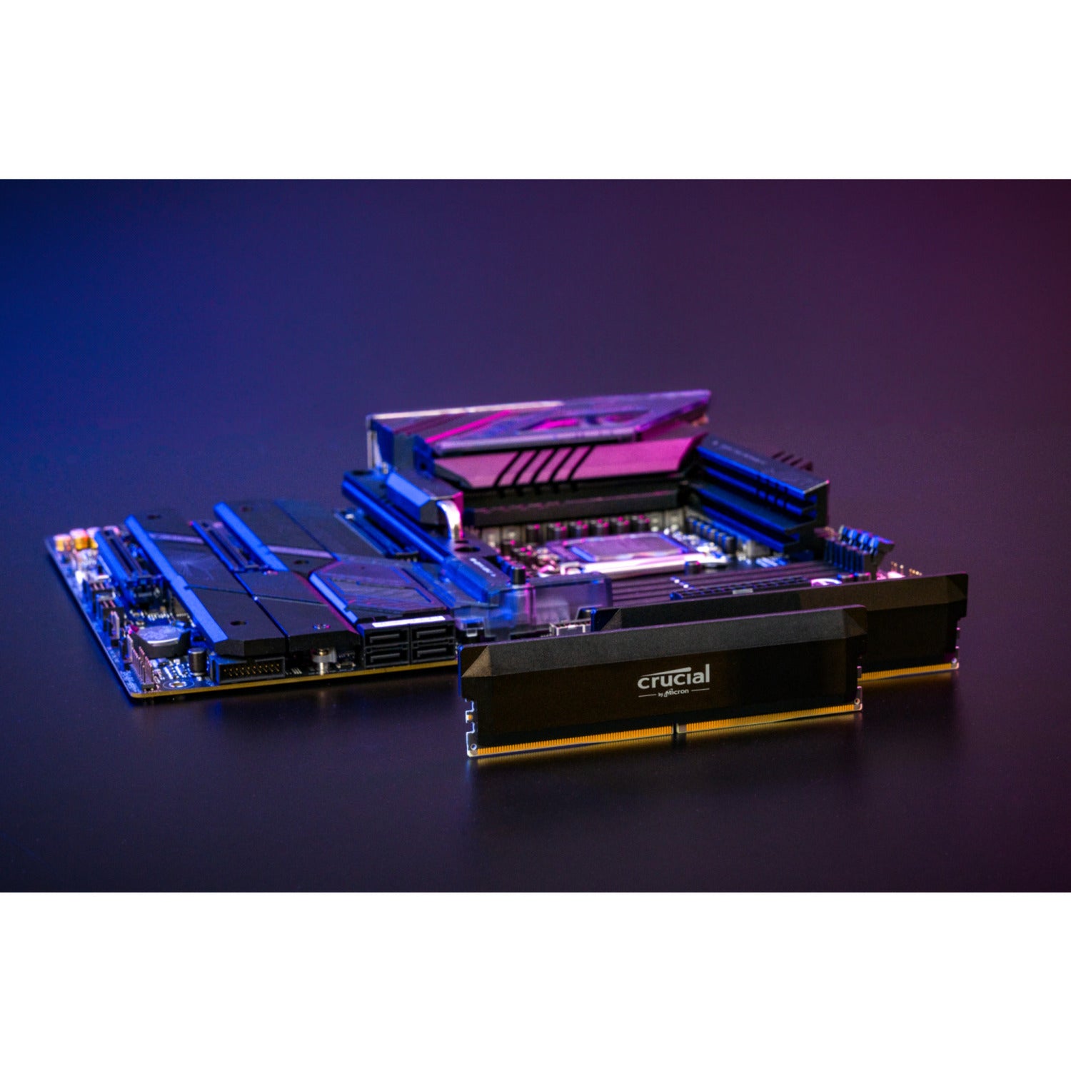 Crucial pro oc 32 gb ddr5-6000 (2x 16 gb) werkgeheugen (zwart, cp2k16g60c36u5b, xmp 3.0, expo)