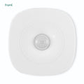 Frient motion sensor pro bewegingsmelder (wit, zigbee 3.0)