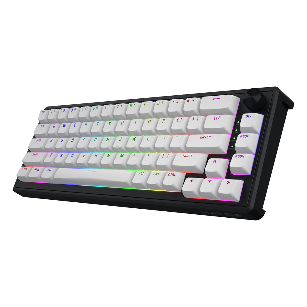 Hator skyfall mag ultra 8k rgb mechanisch gaming toetsenbord (zwart, us lay-out (qwerty), hator aurum ice, 65%, rgb, double-shot pbt, hot-swap)