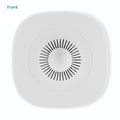 Ty frient smart humidi sensor (wit, zigbee 3.0)