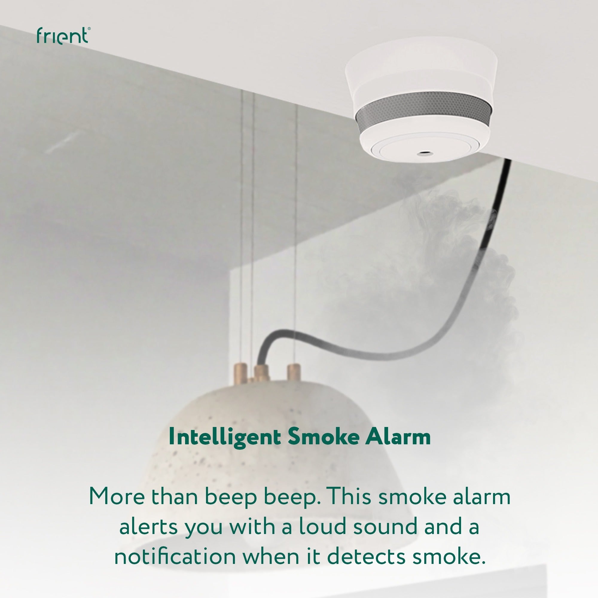 Frient intelligent smoke alarm melder (wit, zigbee 3.0)