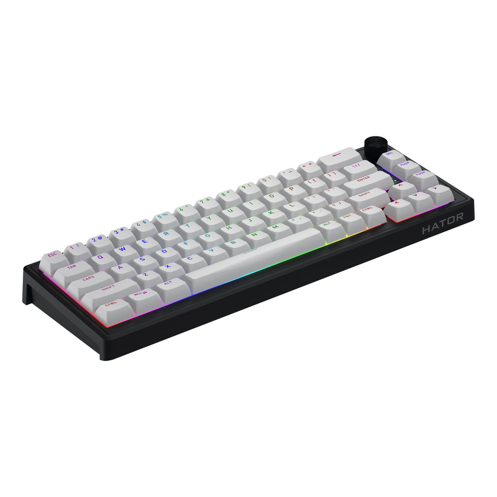 Hator skyfall mag ultra 8k rgb mechanisch gaming toetsenbord (zwart, us lay-out (qwerty), hator aurum ice, 65%, rgb, double-shot pbt, hot-swap)