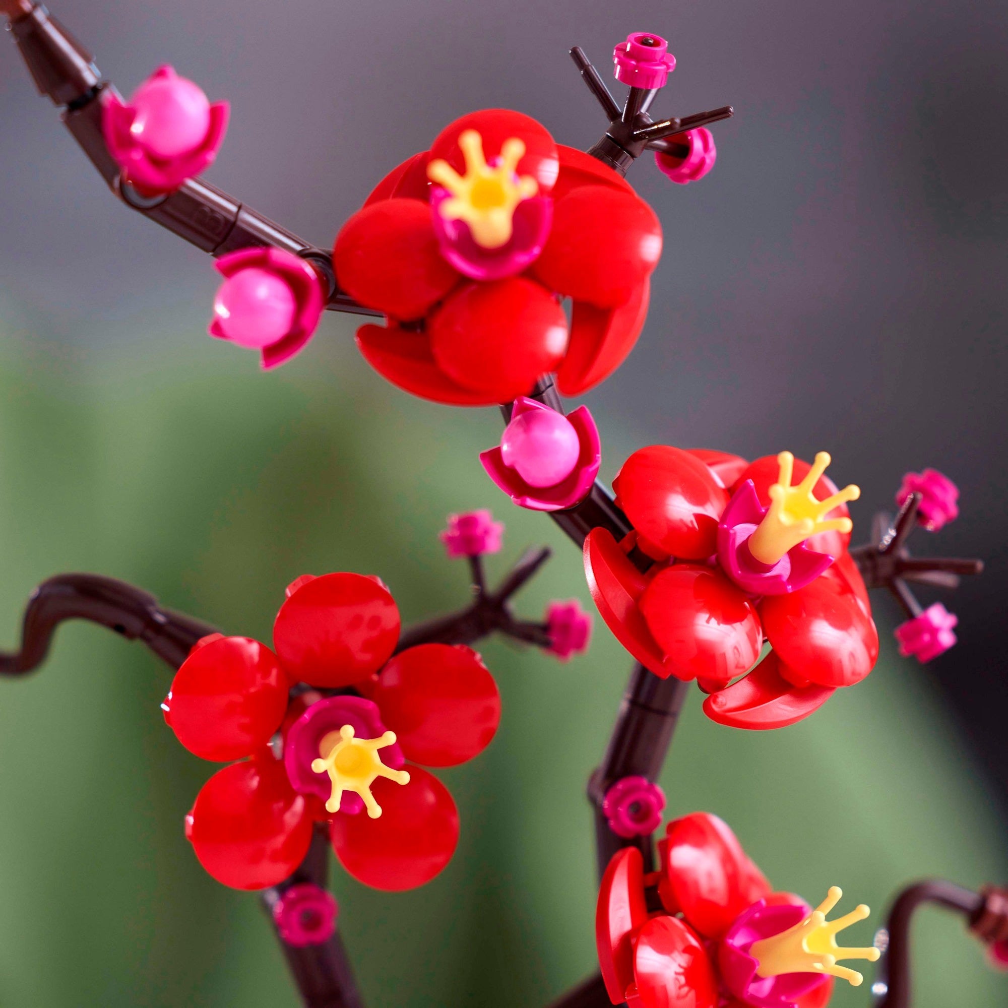 Lego botanical collection - japanse abrikoos constructiespeelgoed (10369)