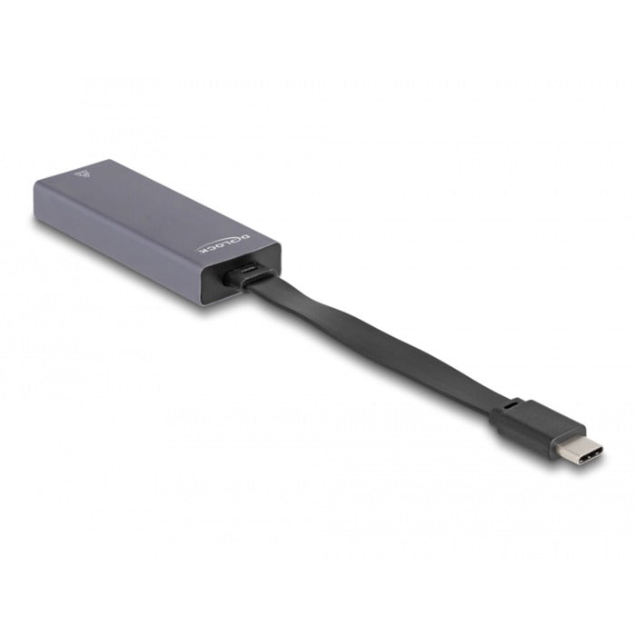 DeLOCK USB-C > 2,5 Gigabit LAN Slim