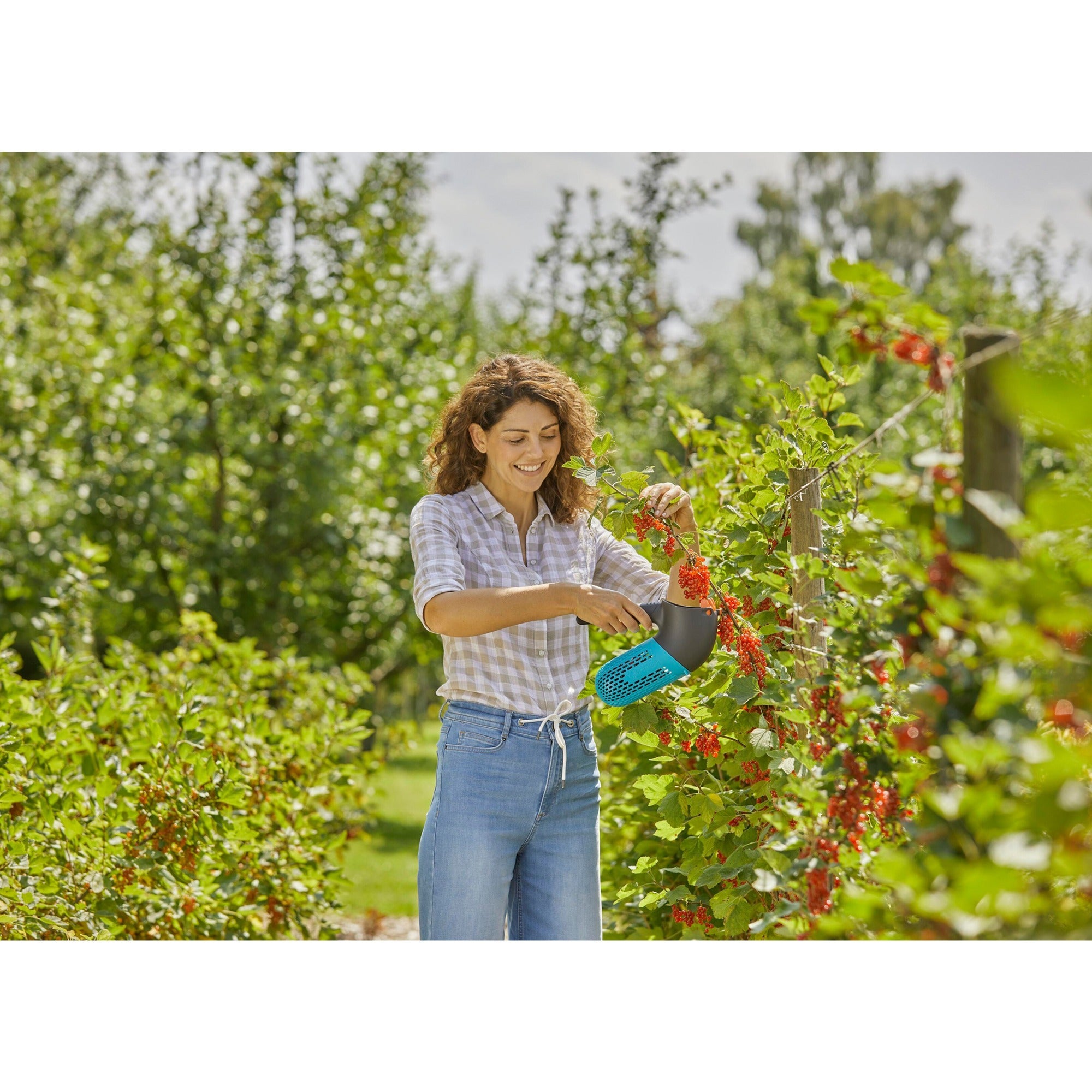 Gardena combisystem bessenplukker set fruitplukker (zwart turquoise, incl. telescoopsteel)