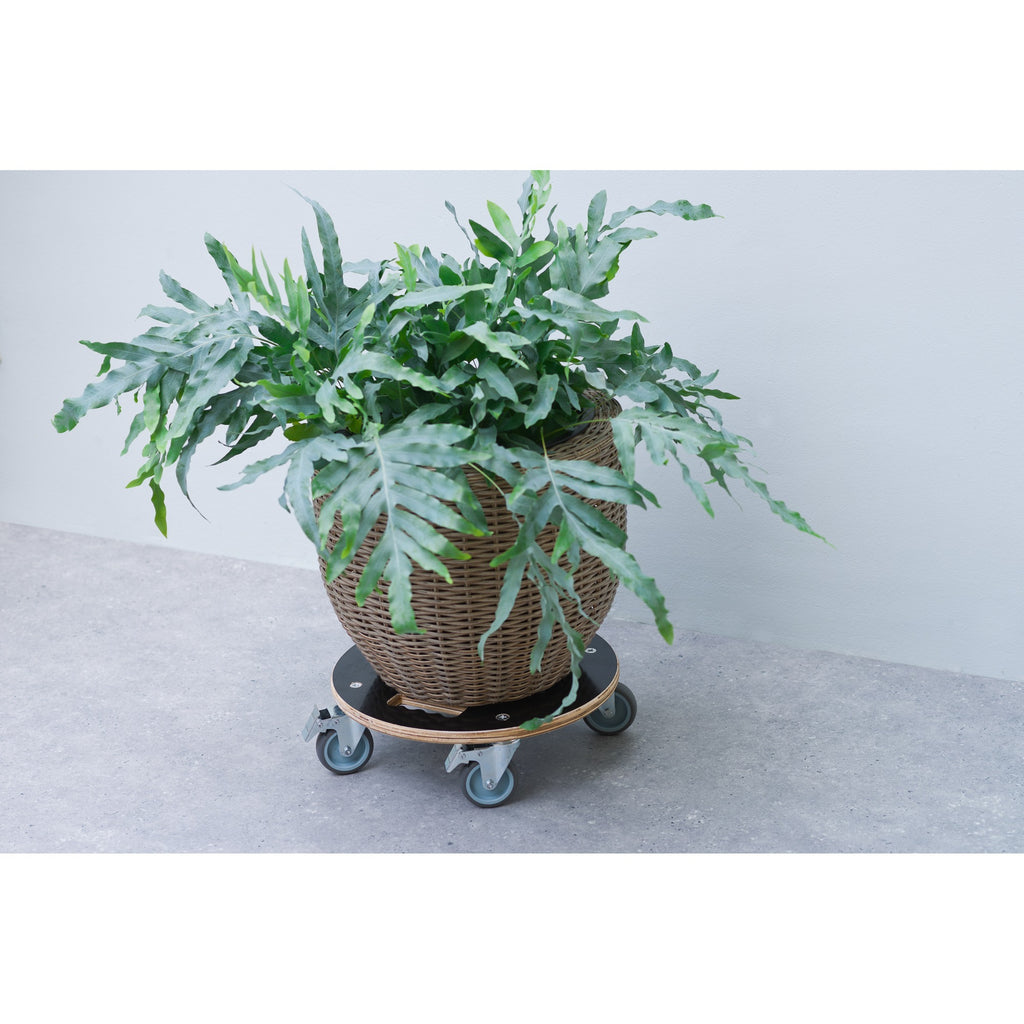Nature Plant Wagon Rindfleisch
