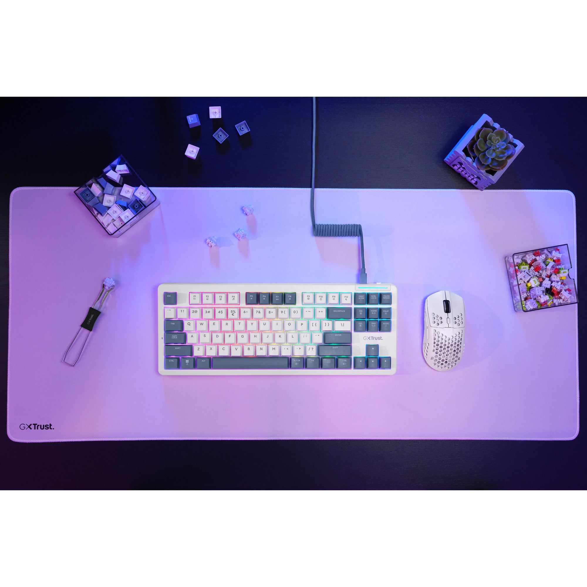 Trust gxt 872 xyra mechanisch tkl-gamingtoetsenbord, gaming toetsenbord (wit, us lay-out, leobog seiya, 80% (tkl), rgb, hot swap)