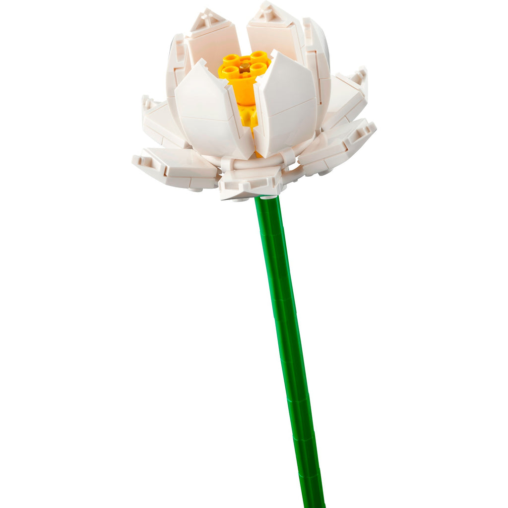 LEGO Botanische Kollektion - Lotusblumen Konstruktionsspielzeug (40647)