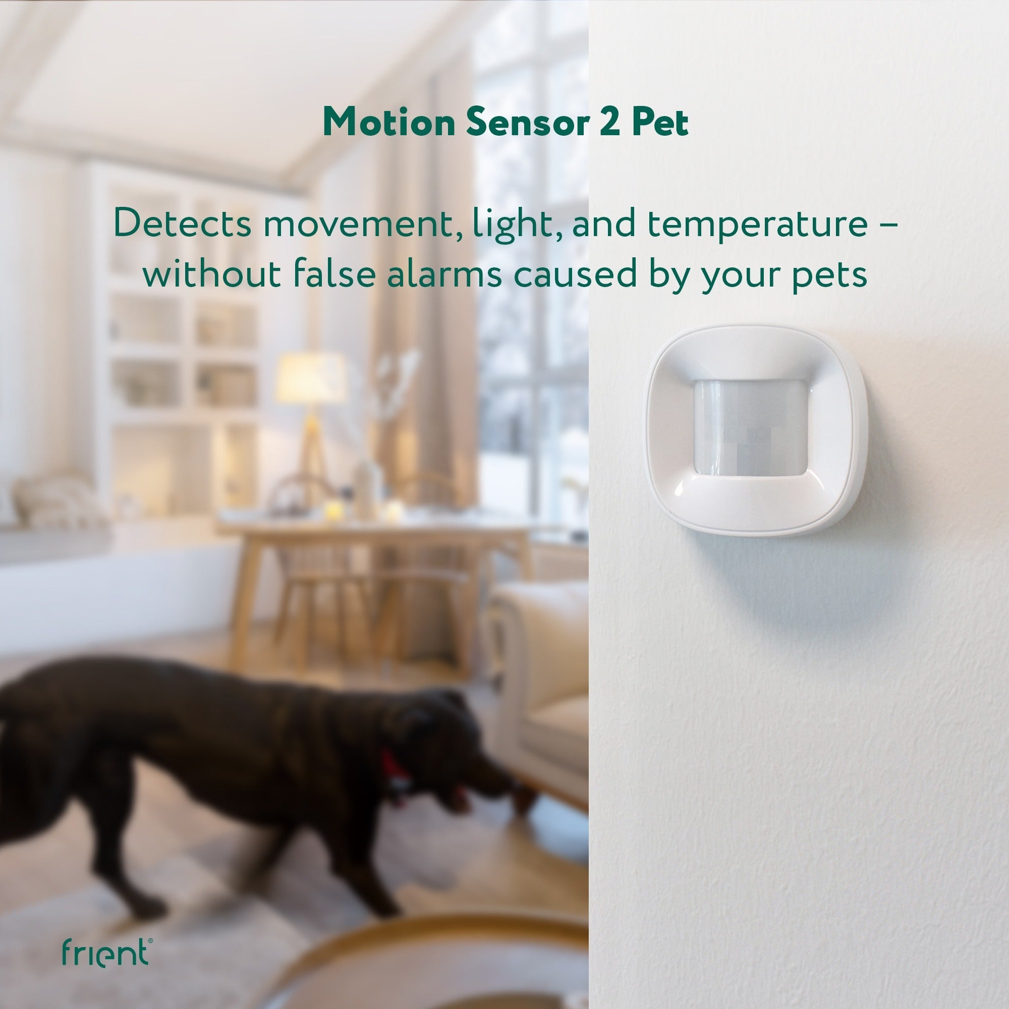 Frient motion sensor 2 pet bewegingsmelder (wit, zigbee 3.0)