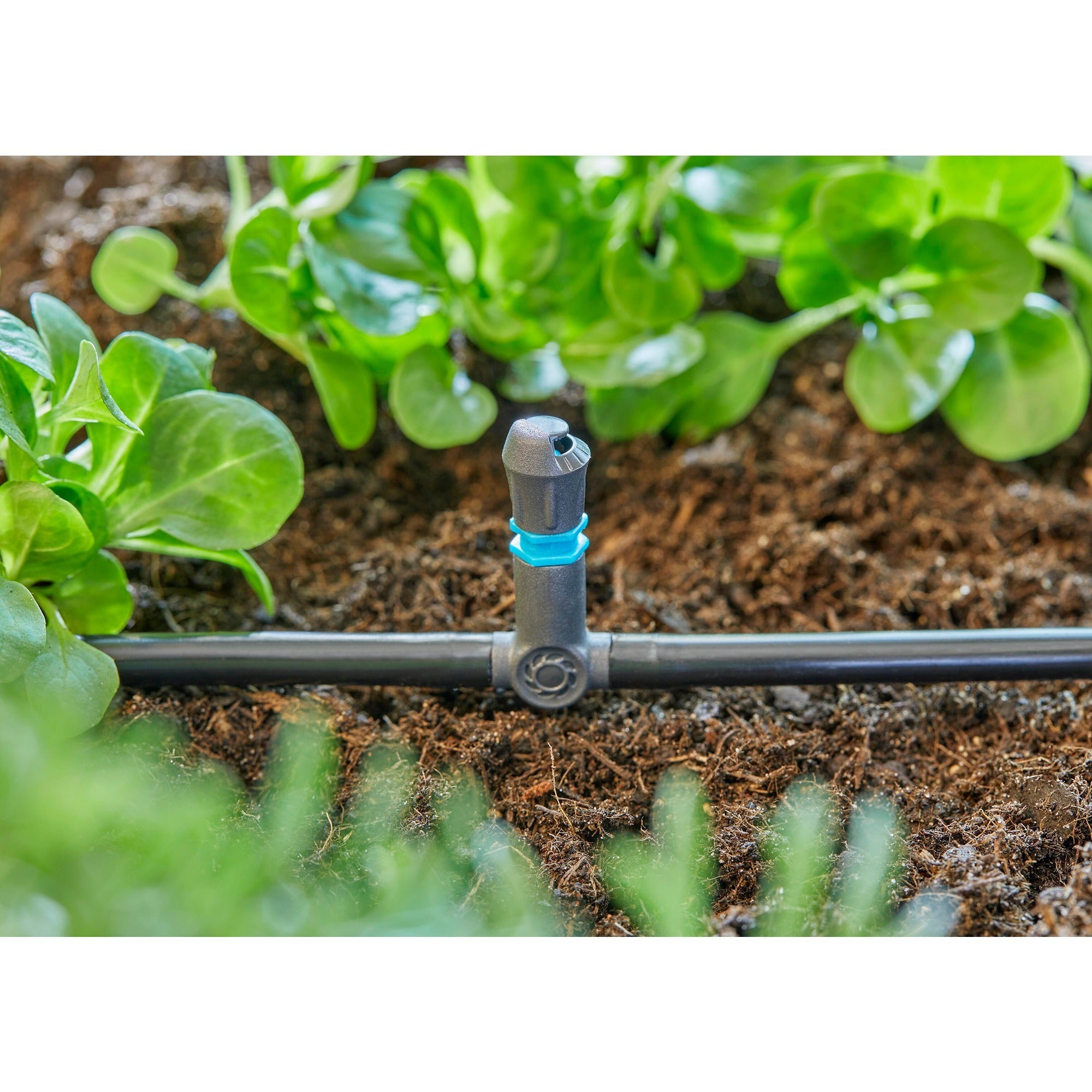 Gardena t-stuk voor sproeiers einddruppelaars 4,6 mm (3 16 ) verbinding (donkergrijs, 5 stuks)