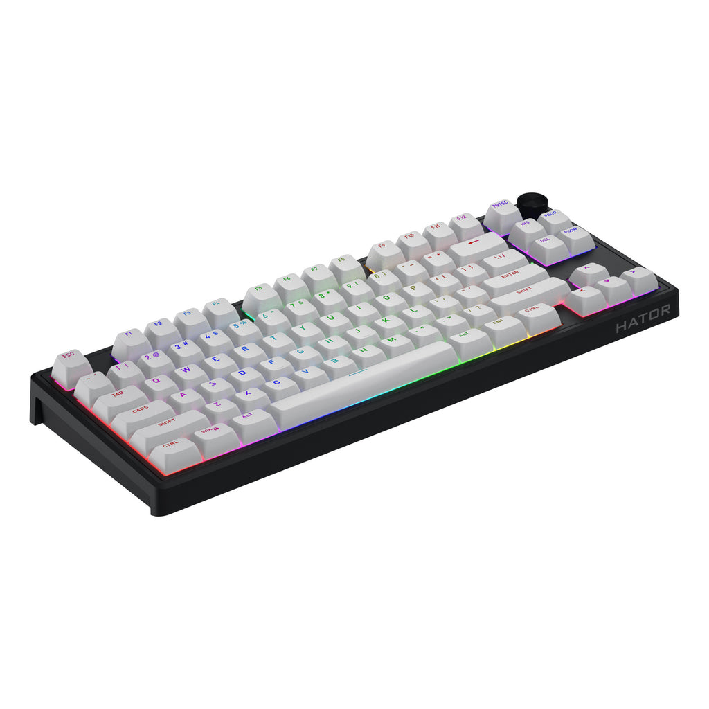 Hator skyfall mag ultra 8k rgb mechanisch gaming toetsenbord (zwart, us lay-out (qwerty), hator aurum ice, 80% (tkl), rgb, double-shot pbt, hot-swap)